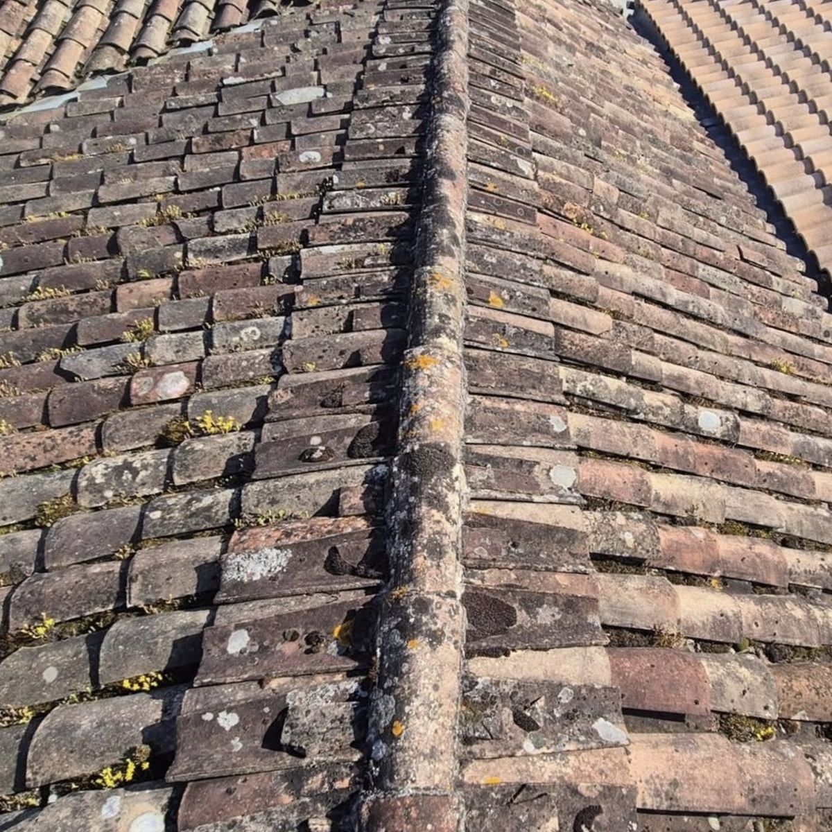 Toiture avant travaux : vieilles tuiles couvertes de mousse et de lichen